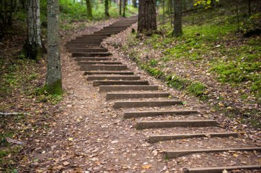 Sonbahar orman parkında, Letonya Ligatne 'de merdivenlere çıkın..