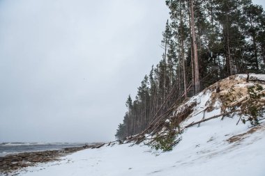 Baltık Denizi kışın karlıdır ve Letonya 'nın Saulkrasti şehrinde denizde büyük dalgalar vardır.