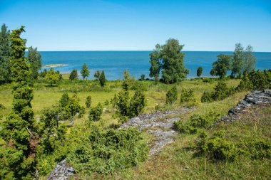 Estonya 'daki Muhu Adası' ndaki Uugu kayalığı ya da uçurumu, Baltık Denizi 'nin yanında ve Saaremaa Adası yakınlarında..