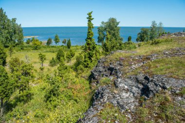 Estonya 'daki Muhu Adası' ndaki Uugu kayalığı ya da uçurumu, Baltık Denizi 'nin yanında ve Saaremaa Adası yakınlarında..