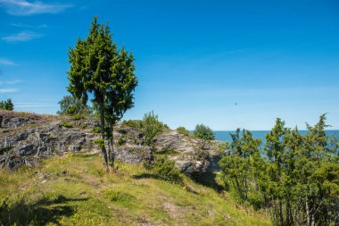 Estonya 'daki Muhu Adası' ndaki Uugu kayalığı ya da uçurumu, Baltık Denizi 'nin yanında ve Saaremaa Adası yakınlarında..