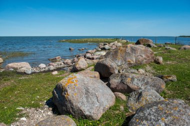 Estonya 'daki Muhu Adası' ndaki Uugu kayalığı ya da uçurumu, Baltık Denizi 'nin yanında ve Saaremaa Adası yakınlarında..