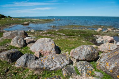 Estonya 'daki Muhu Adası' ndaki Uugu kayalığı ya da uçurumu, Baltık Denizi 'nin yanında ve Saaremaa Adası yakınlarında..