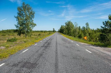 Ülke genelinde yol, Saaremaa adası, Estonya.