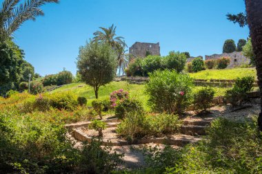 Eski Rodos kasabasının arazisindeki peyzajlı ortaçağ bahçesi.