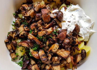 Ormandan yeni çıkmış mantarlar.