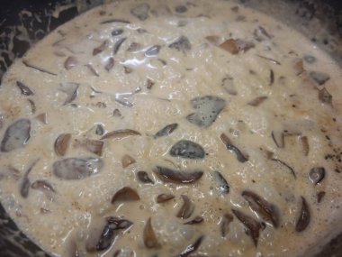 Ormandan yeni çıkmış mantarlar.