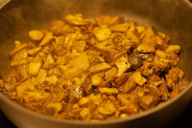 Ormandan yeni çıkmış mantarlar.