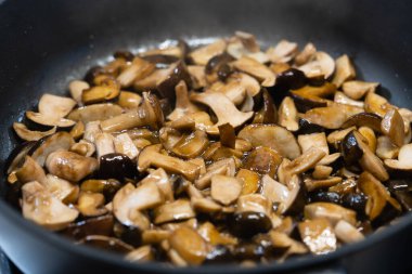 Ormandan yeni çıkmış mantarlar.