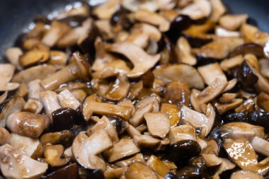 Ormandan yeni çıkmış mantarlar.