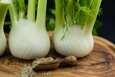 yeşil ve beyaz rezene soğanları zeytin ağacında