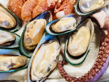italian seafood pulpo and shells with pasta