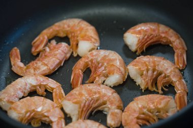 italian seafood pulpo and shells with pasta