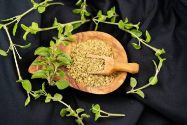 oregano origanum vulgar delicious kitchen herbs