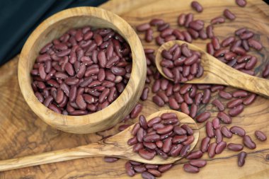 Zeytin ağacında kurutulmuş kırmızı böbrek fasulyesi.