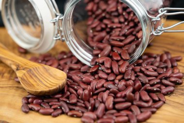 Zeytin ağacında kurutulmuş kırmızı böbrek fasulyesi.