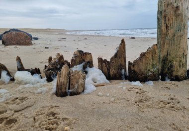 Kuzey denizindeki uçsuz bucaksız sahil Hvidbjerg Stranden Blavand Danimarka