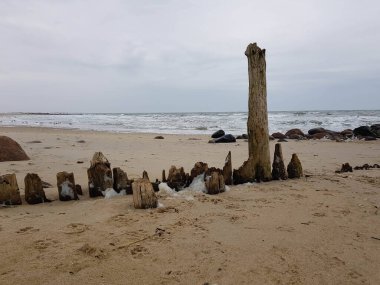 Kuzey denizindeki uçsuz bucaksız sahil Hvidbjerg Stranden Blavand Danimarka