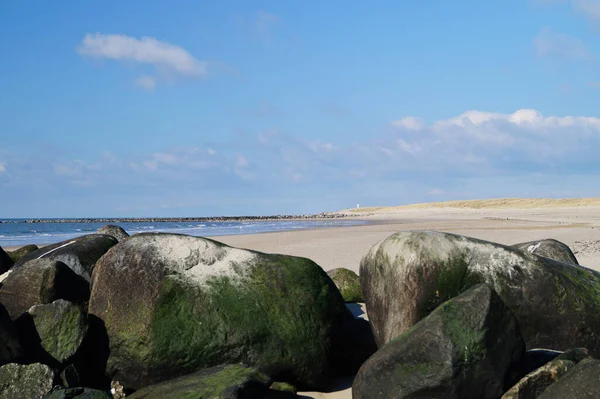 Безконечний Пляж Північному Морі Hvidbjerg Stranden Blavand Denmark — стокове фото