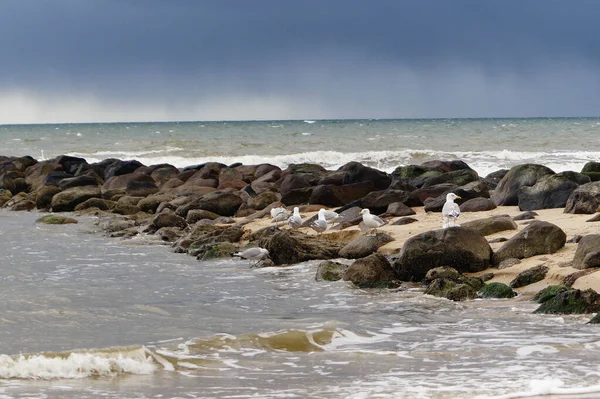 Бесконечный Пляж Северном Море Hvidbjerg Странден Блаванд Дания — стоковое фото