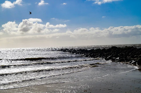 Het Eindeloze Strand Aan Noordelijke Zee Hvidbjerg Stranden Blavand Denemarken — Stockfoto