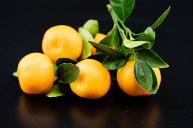 Calamondin Orange nitro fortune makrocarpa bir mandalina karışımıdır.