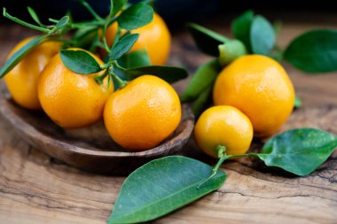 Calamondin Orange nitro fortune makrocarpa bir mandalina karışımıdır.
