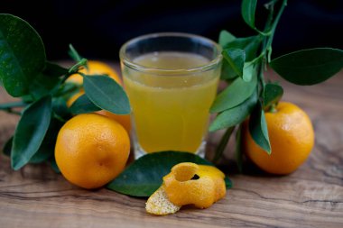The Calamondin Orange nitro fortunella macrocarpa is a hybrid of mandarin an cumquat clipart