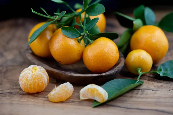 Die Calamondin Orange Nitro Fortunella Macrocarpa Ist Eine Kreuzung Aus — Stockfoto