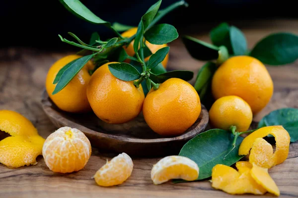 stock image The Calamondin Orange nitro fortunella macrocarpa is a hybrid of mandarin an cumquat