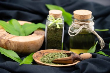 Yaban sarımsağı zeytin ağacında