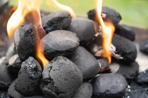 Carvão Peixe Grelhado Outros Frutos Mar — Fotografia de Stock
