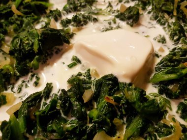 Ev bahçesinden taze yeşil ıspanak.