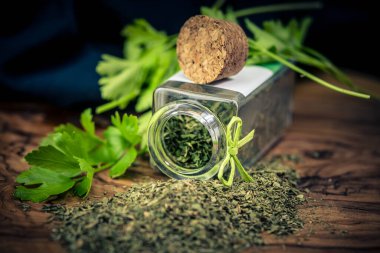 Taze yeşil maydanoz ya da kurutulmuş maydanoz Petroselinum gevreği.