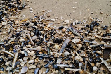 Blavand Danimarka 'nın kuzey denizindeki uçsuz bucaksız plajın izleri.