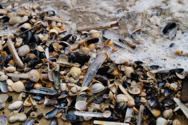 Blavand Danimarka 'nın kuzey denizindeki uçsuz bucaksız plajın izleri.