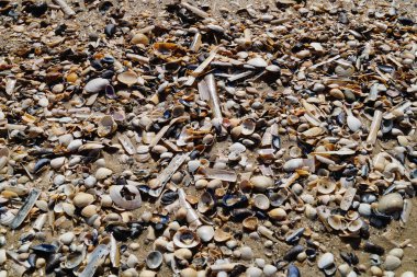 Blavand Danimarka 'nın kuzey denizindeki uçsuz bucaksız plajın izleri.