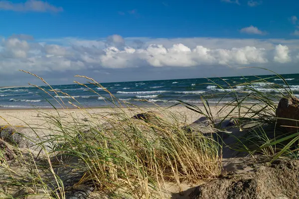 Влияние Бесконечного Пляжа Северном Море Блаванде Дания Стоковая Картинка