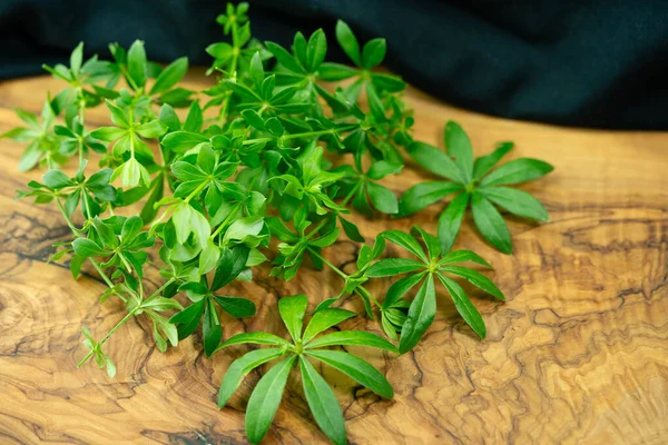 Blad Örtartade Växter Galium Odoratum Färska Och Torkade — Stockfoto