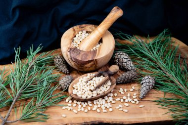 Sedir konileri ve zeytin ağacında fındıklar