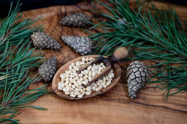 Sedir konileri ve zeytin ağacında fındıklar