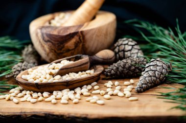 Sedir konileri ve zeytin ağacında fındıklar