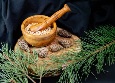 Sedir konileri ve zeytin ağacında fındıklar