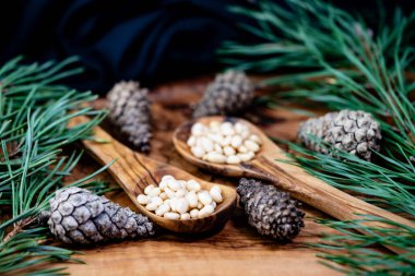 Sedir konileri ve zeytin ağacında fındıklar