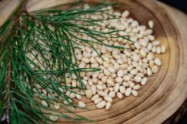 Sedir konileri ve zeytin ağacında fındıklar