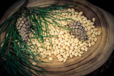 Sedir konileri ve zeytin ağacında fındıklar
