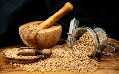 Bir yığın Triticum aestivum spelta zeytin ağacında