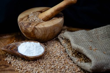 Bir yığın Triticum aestivum spelta zeytin ağacında