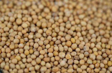 soyut arkaplan ya da duvar kağıdı olarak renkli gıdalar