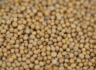 soyut arkaplan ya da duvar kağıdı olarak renkli gıdalar